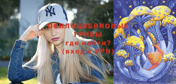 apvp Алексин