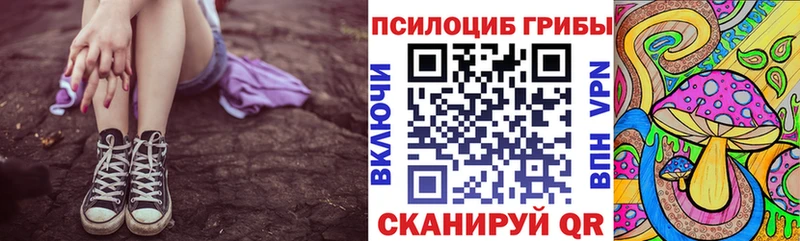 ссылка на мегу как зайти  купить   Боровичи  Галлюциногенные грибы GOLDEN TEACHER 