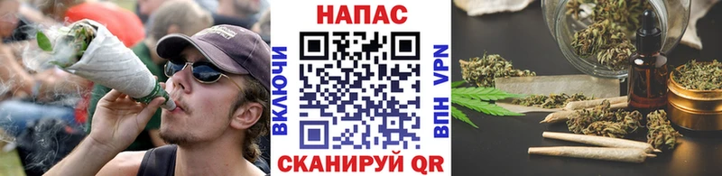 где купить наркоту  Боровичи  мега ССЫЛКА  Канабис Amnesia 